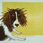 Dog, Jenny Pope